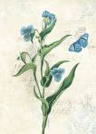 Booked Blue I Crop by Katie Pertiet