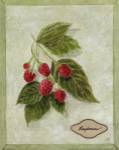Bookplate Raspberries by Susan Eby Glass