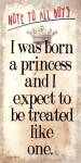 Born a Princess by Barb Tourtillotte