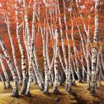 Bosco di Betulle I by Adriano Galasso