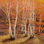 Bosco di Betulle II by Adriano Galasso
