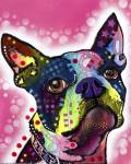 Boston Terrier by Dean Russo