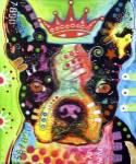 Boston Terrier Crowned by Dean Russo