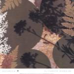 Botanica 3 by Elizabeth Downing
