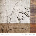 Botanica 7 by Elizabeth Downing