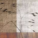 Botanica 8 by Elizabeth Downing