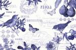 Botanical Blue I by Katie Pertiet