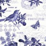 Botanical Blue II by Katie Pertiet