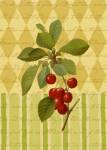 Botanical Cherries