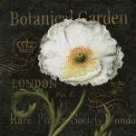 Botanical Garden II by Daphné Brissonnét