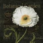 Botanical Garden II by Daphné Brissonnét
