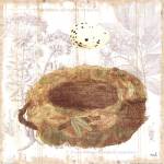 Botanical Nest I by Moira Hershey