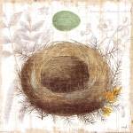 Botanical Nest II by Moira Hershey