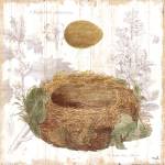 Botanical Nest IV by Moira Hershey