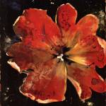 Botany Fleur V by Georgie