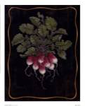 Bouquet Of Radishes l by Janet Kruskamp