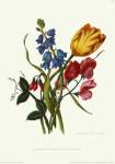 Bouquet with Tulipa Gesneriana by Sir Thomas Lawrence