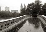 Bow Bridge 2010 by Christopher Bliss