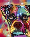 Boxer Cubism by Dean Russo