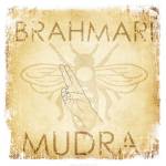 Brahmari Mudra (Humming Bee)
