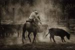 Branding at Lost Canyon by Barry Hart