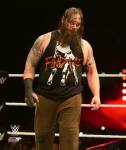 Bray Wyatt 2015 Action