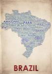 Brazil by American Flat