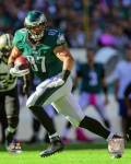 Brent Celek 2015 Action