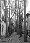 Brick Road (b/w) by Erin Clark