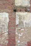 Brick Wall and White Paint by Erin Clark