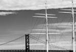 Bridge & Masts (b/w) by Erin Clark