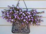 British Columbia, Victoria, Decor on House boats by Terry Eggers / Danita Delimont