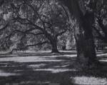 Broadfield I by Robert Jones