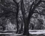 Broadfield II by Robert Jones