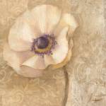Brocade Poppy by Albena Hristova