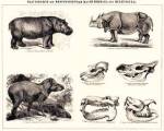 Brockhaus and Efron Encyclopedic Dictionary