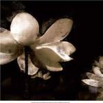 Bronze Lily II by Noah Bay
