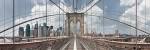 Brooklyn Bridge by Shelley Lake