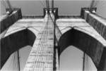 Brooklyn Suspension II by Laura Denardo