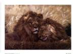 Brothers Of The Serengeti by W. Michael Frye