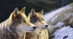 Brothers Of The Wild by Cory Carlson