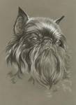 Brussels Griffon by Barbara Keith