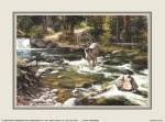 Buck in Midstream by Jack Sorensen