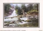 Bucks Near Waterfall by Jack Sorensen