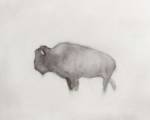 Buffalo (right) by Jacqueline Neuwirth