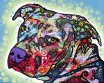 Bulls Eye by Dean Russo