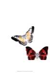 Butterflies Dance V by A. Project
