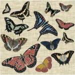 Butterflies & Linen I by Vision Studios