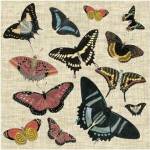 Butterflies & Linen II by Vision Studios