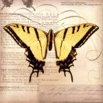 Butterflies Script V - mini by Amy Melious